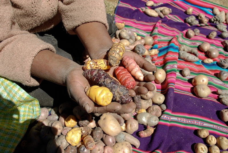 potatoes