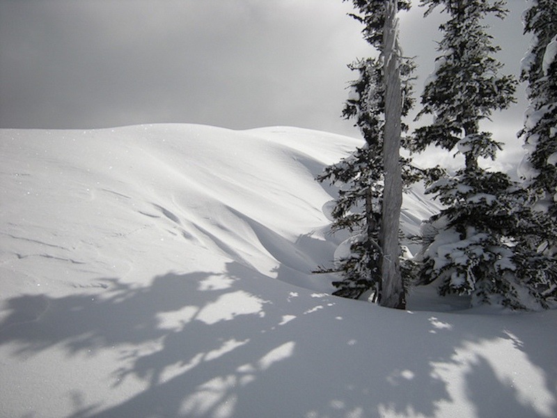 snow-and-trees