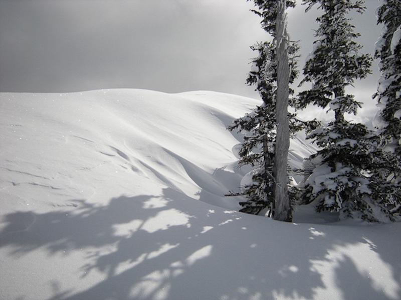 snow-and-trees
